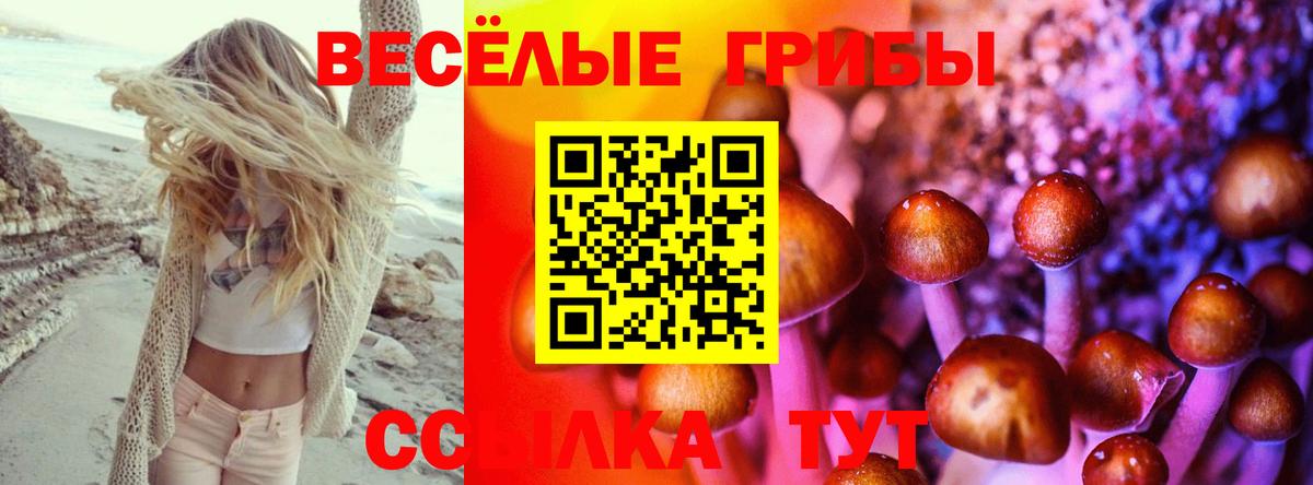 Галлюциногенные грибы MAGIC MUSHROOMS  наркошоп  Новосибирск  Вход с VPN  Галлюциногенные грибы мухоморы 
