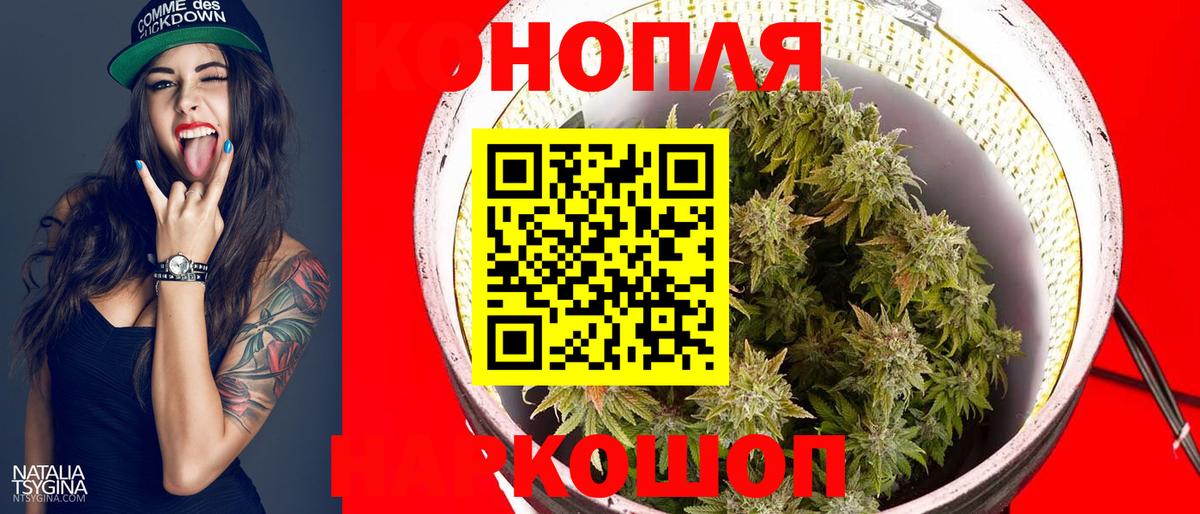 МАРИХУАНА планчик  Вход с VPN  Бошки Шишки MAZAR  Новосибирск 